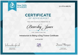 Certificate 07 dog tng intro.jpg